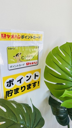 買取品目